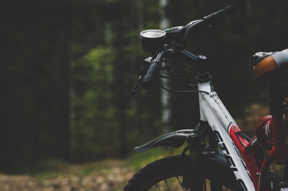 Read more about the article Complete Guide to Biking Trails